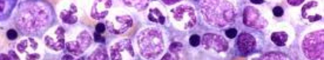 qsomos-analisis-microscopico-izq